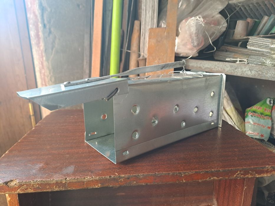 Qopqon kalamush qopqon tirik ushlidi