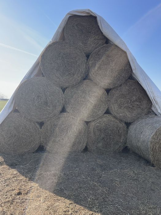 Vand lucerna coasa 3