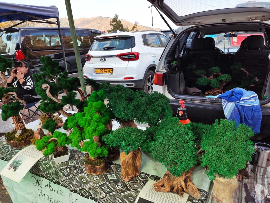 Гид Алматы экскурсии Индивидуальные туры Чарынский каньон Кайынды и др