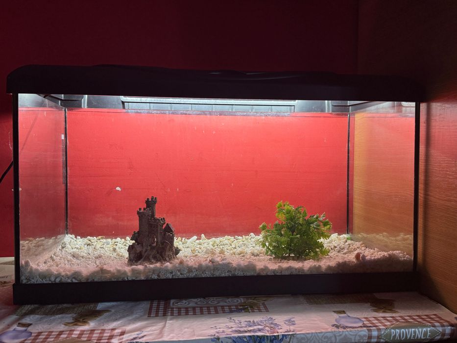 Acvariu complet echipat – stare bună