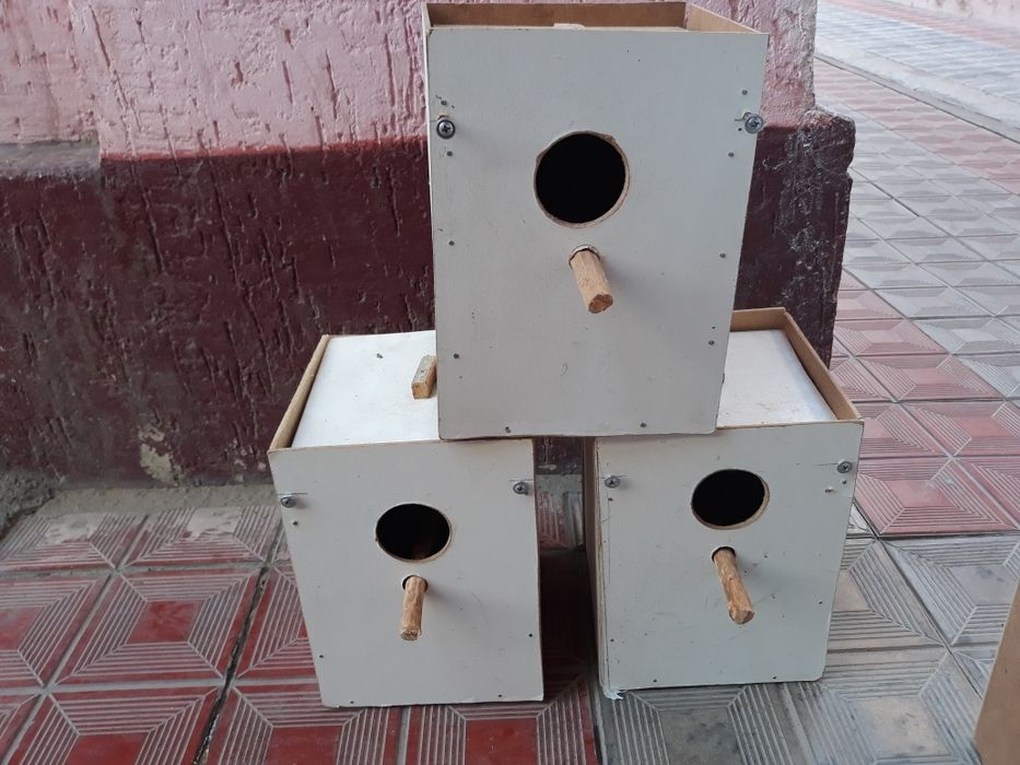 Гнездо для всех видов попугаев