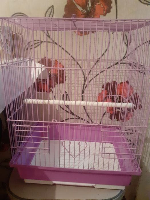 Продам клетка для хомяк и папугаи