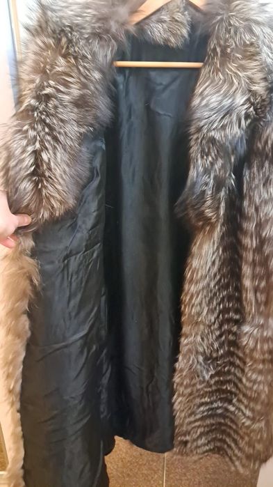 Vand blana vulpe perfecta stare, Italia