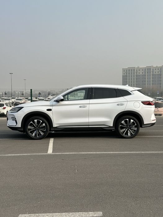 BYD Champion SMART 2025 в наличаи от Terra Auto