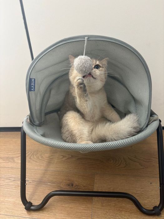Продам лежанку для кота