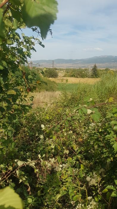 Продава се Парцел в Сапарева баня - 4700 кв.м за 16 €/кв.м - Снимка #2