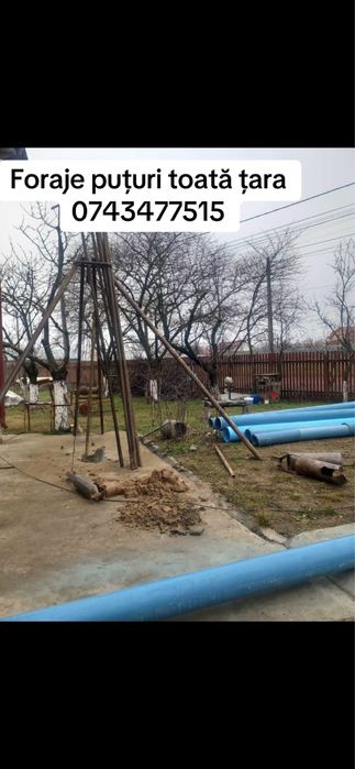 Foraje puturi toata tara