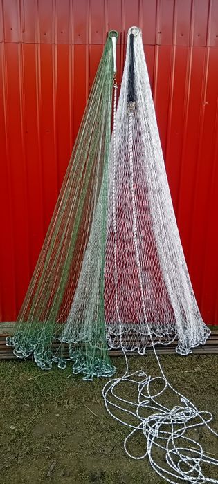 Prostovol cu ochiul mic