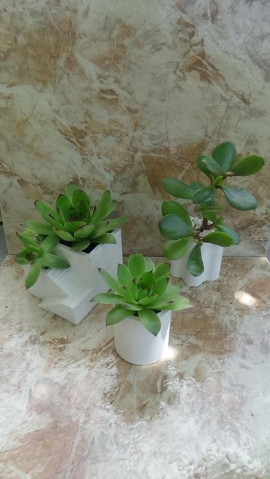 Гипсови кашпи декорирани със растения