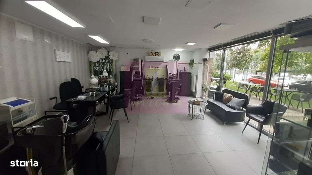 Spatiu Comercial Stradal Șoseaua Colentina zona Teiul Doamnei Suveica