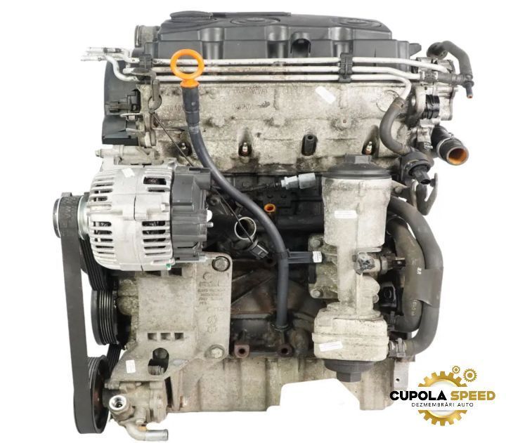 Motor fara anexe 1.9TDI 105Cp BLS Seat Ibiza 3 [facelift] 6L [2006 -
