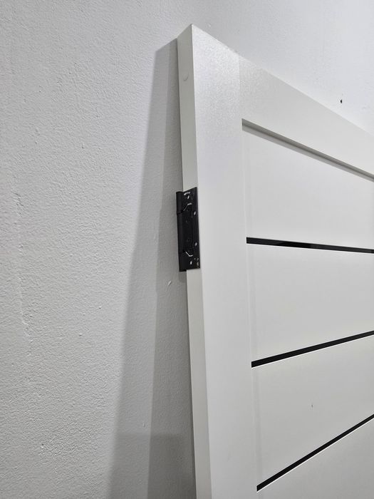 Дверь плюс косяки