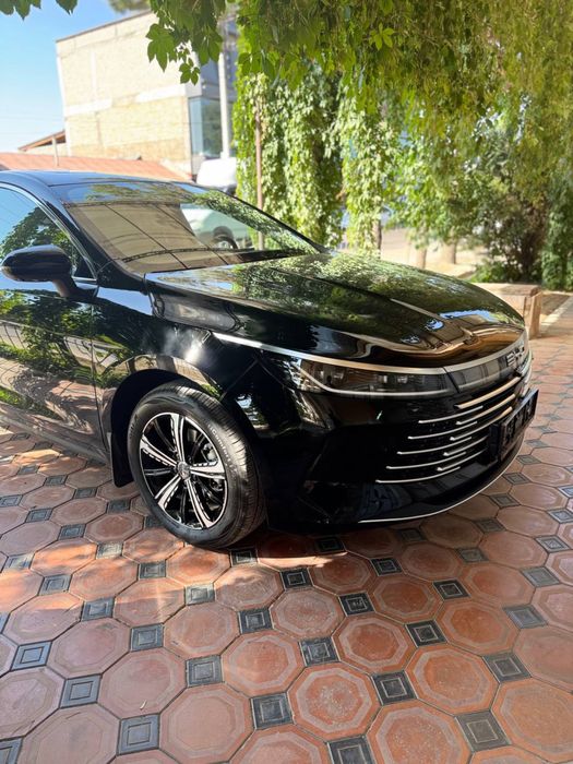 Chazor eng fulli 2025