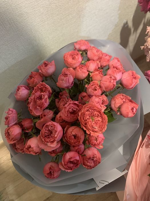 Цветы продам срочно