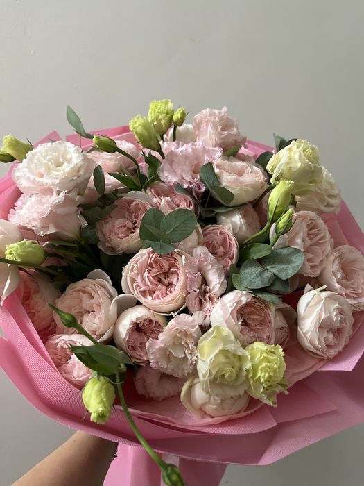 Продам цветы Цветы