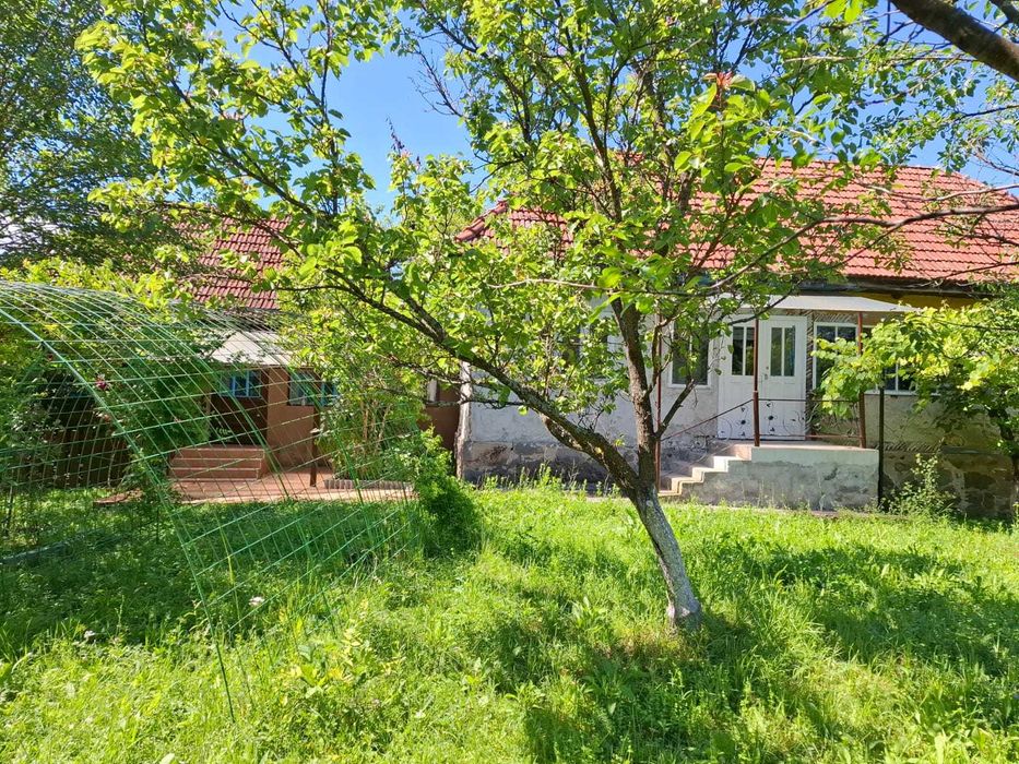 Casă + teren de vânzare în Brad, Hunedoara – proprietar