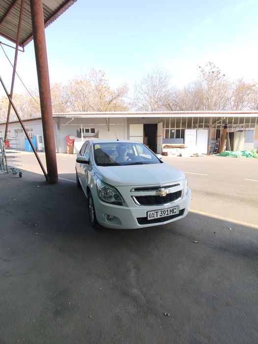 Cobalt oq 2023 AT 11000 kraska bor