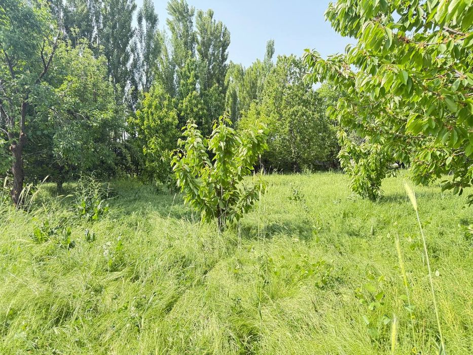 Yer uchaska imorat yoq