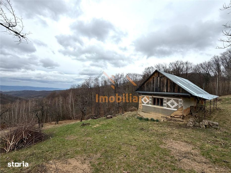 Teren 34.000 Mp | Serani Bihor