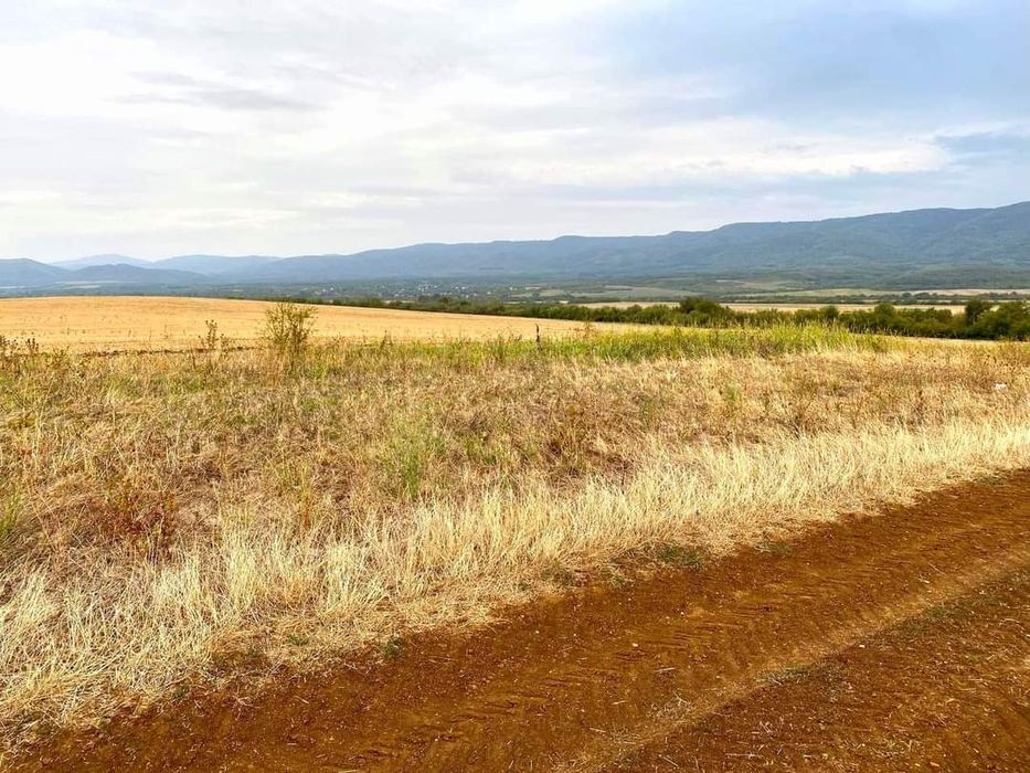 Продава се Парцел в с. Церова кория, Област Велико Търново - 800 кв.м за 12 €/кв.м - Снимка #6