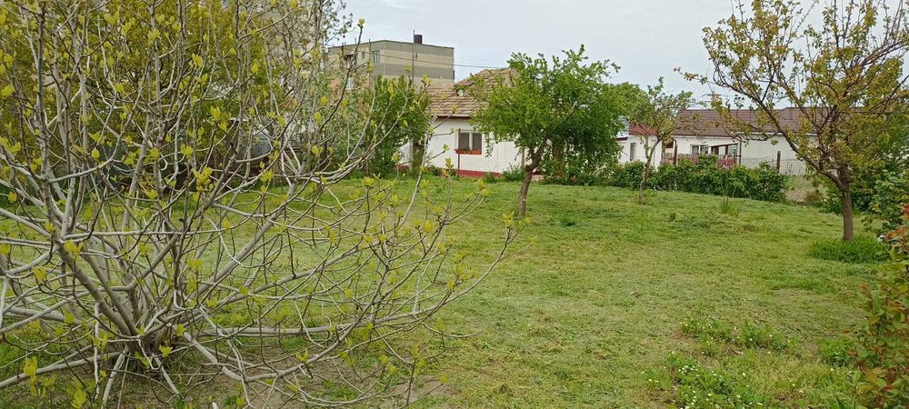 Casa bătrânească Mahmudia