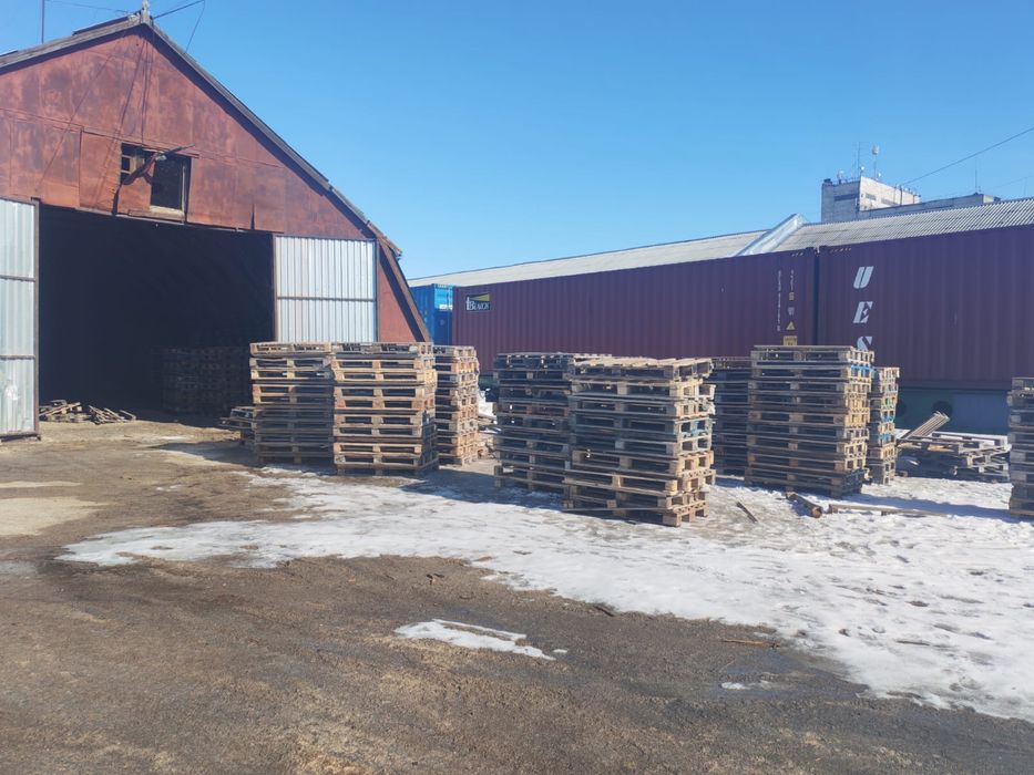 Продам поддоны ( палеты)