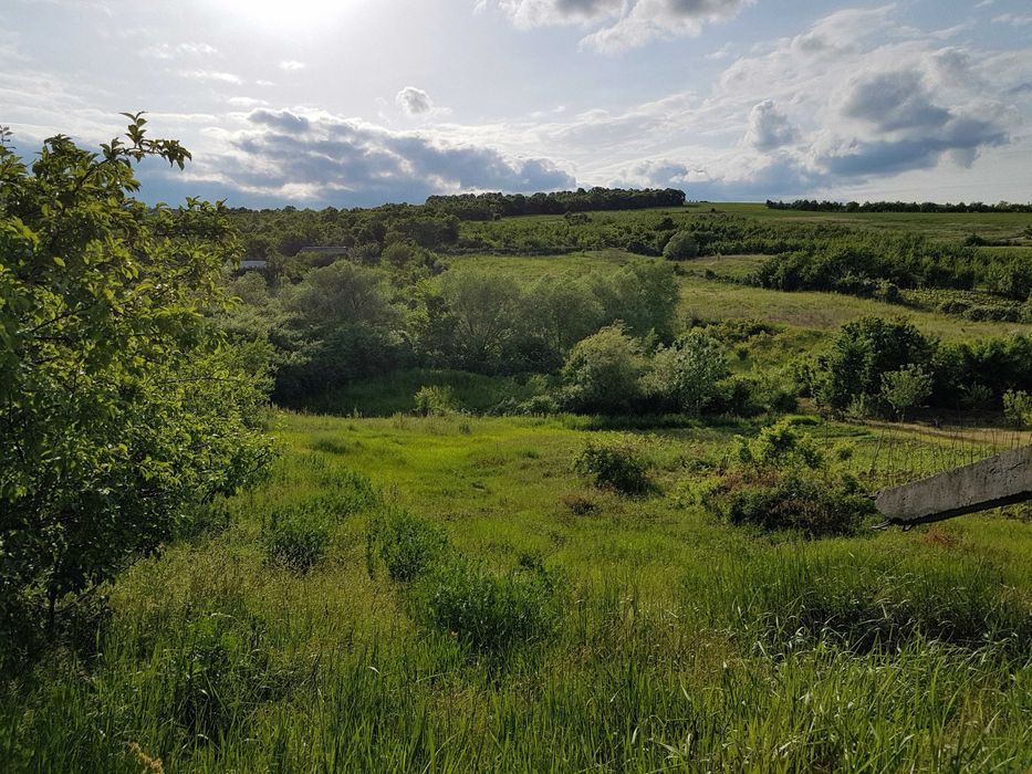 Vand teren intravilan Chicerea