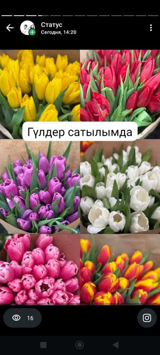 тюльпаны по 350тг