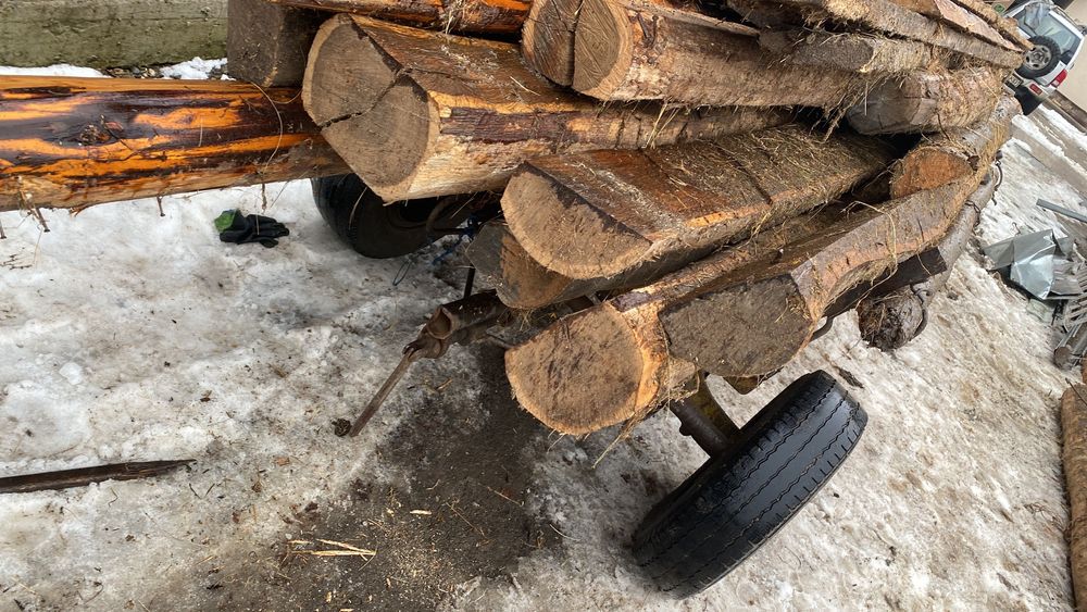 Grinzi de stejar de vânzare