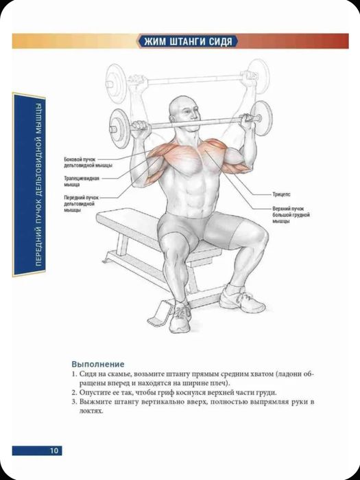 Анатомия бодибилдинга | Ник Эванс