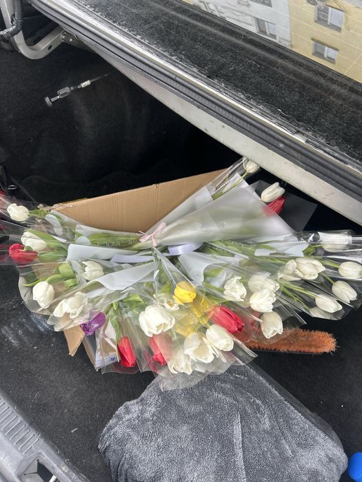 Цветы 25000 цена 51 тюльпаны