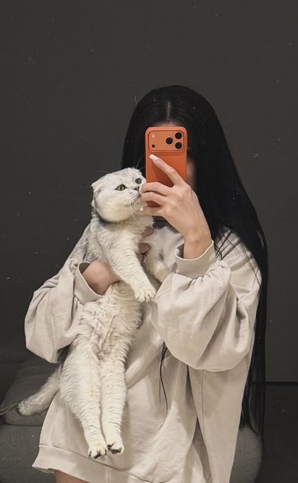 Серебристая шиншилла вязка