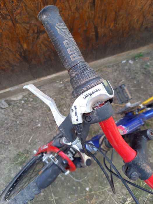 Pt copii peste 10 ani