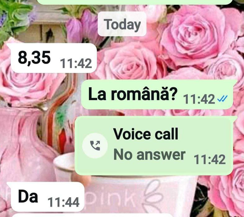Profesor (PFA) ofer meditații pentru limba română și limba engleză