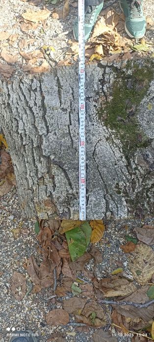 Орехов материал  .