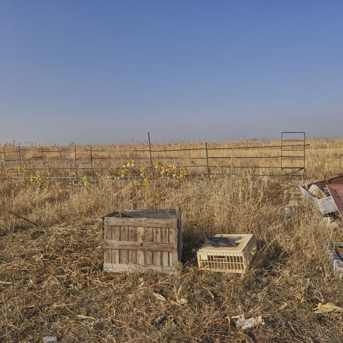 Участок 6.5 га К/Х