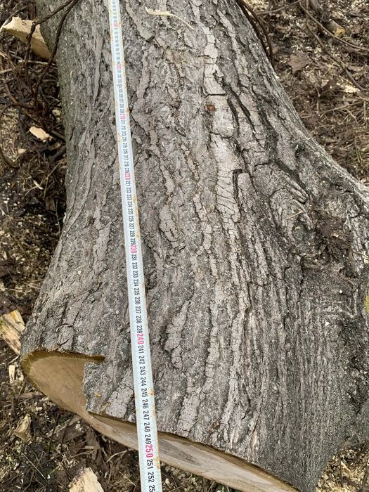 Lemn de Nuc , utilizat in scop de constrctie sau in scopul de creea ..