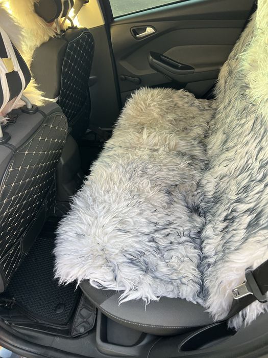 Продам Ford Focus