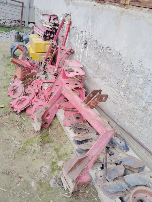 Daichi selka zabchastlari