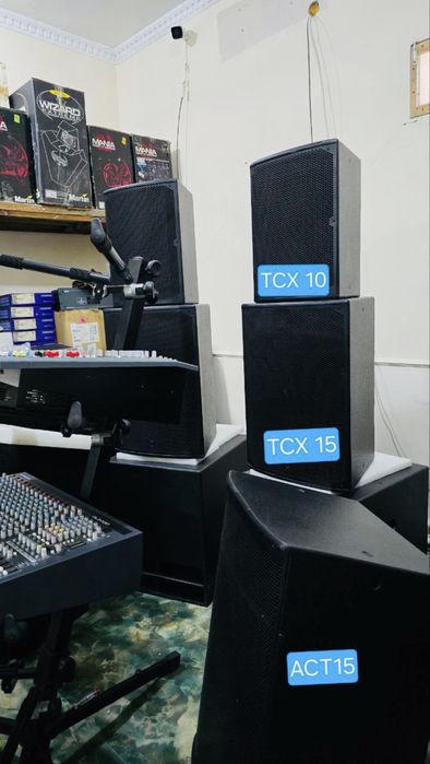 Акустическая система, Turbosound NuQ102. Италия