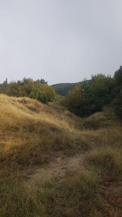 Продава се Парцел в Сапарева баня - 2200 кв.м за 21 €/кв.м - Снимка #5