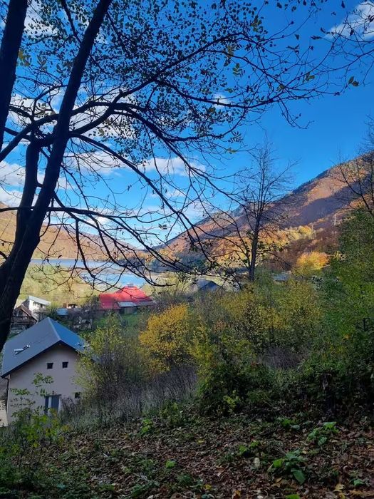 Liziera Cabin Malaia