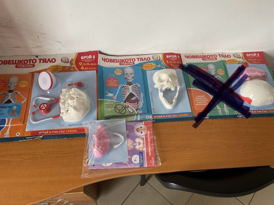 Човешкото тяло-поредца