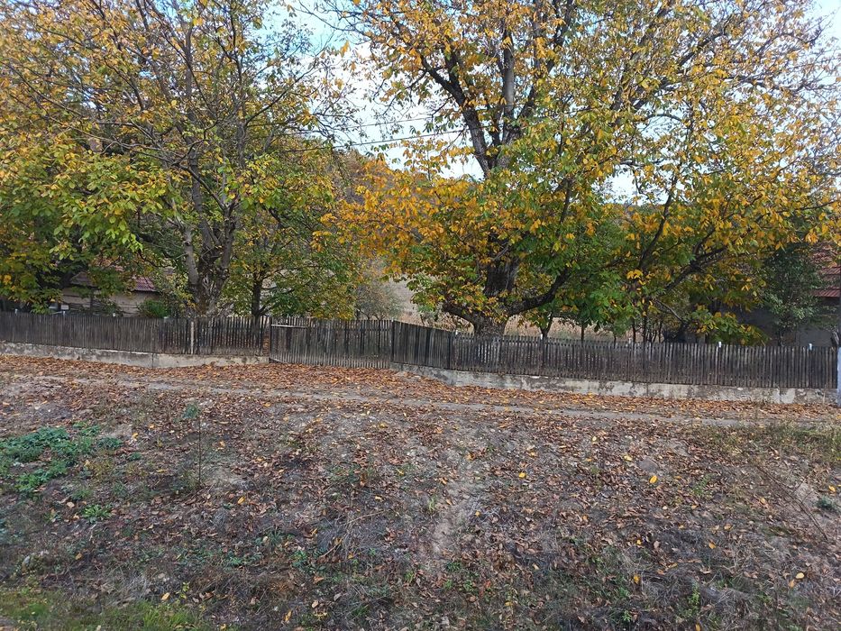 Teren intravilan/loc de casă 7.800 mp-Conop, jud. Arad