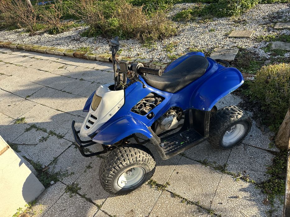 Детско АТВ 110 кубика