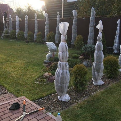 Укрытие деревьев растения подготовка к зиме Садовник Богбон хизмати.