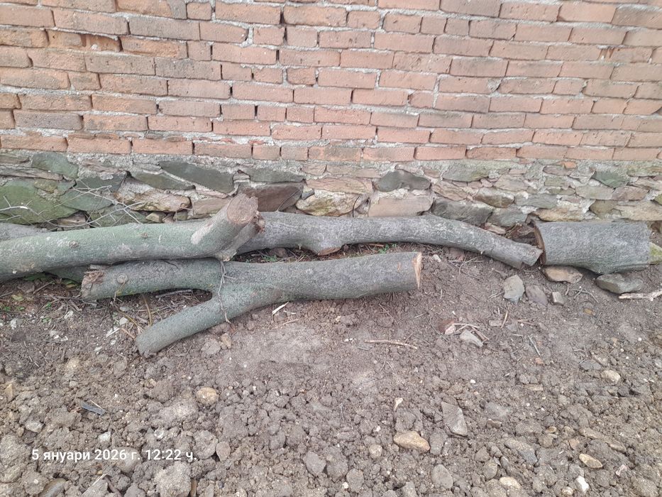 Дърва от орех за материал