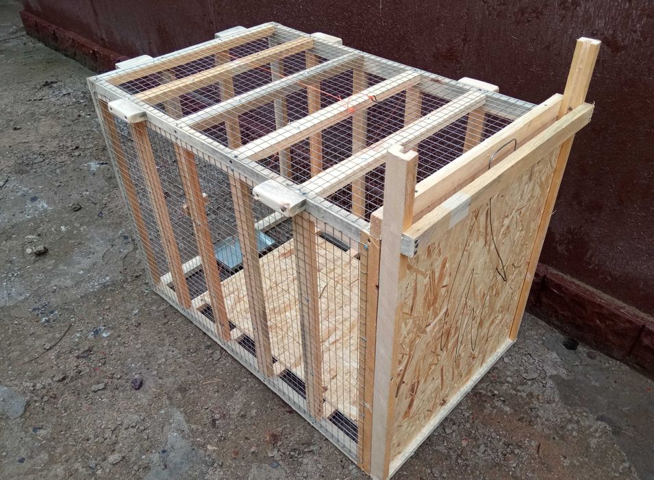 ловушка для больших средних собак