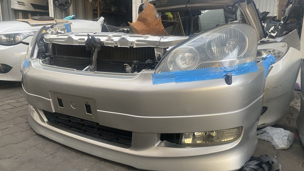 Ноускат Ипсум до рестайлинг