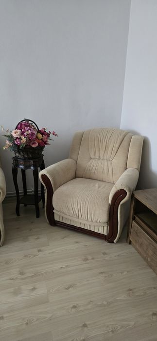 Doua fotolii in stare foarte bună, îngrijite.doua fotolii
